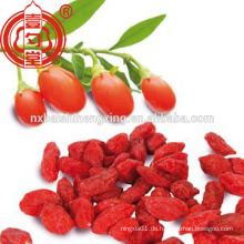Chinesische Ningxia Wolfberry getrocknete Früchte